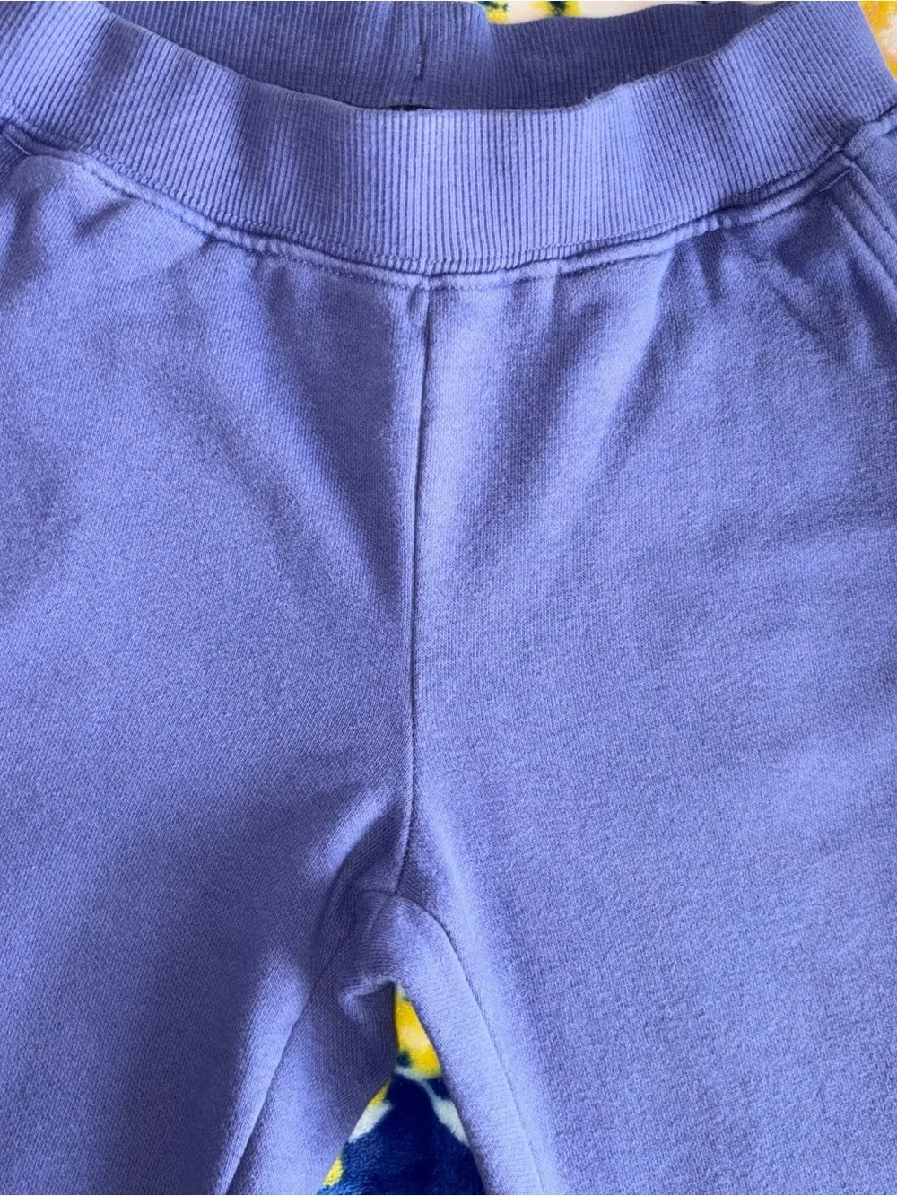 The North Face Kids Cove Blue/Purple  Jogger Sweatpants | Size: Girls 7/8